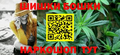 индика Аша