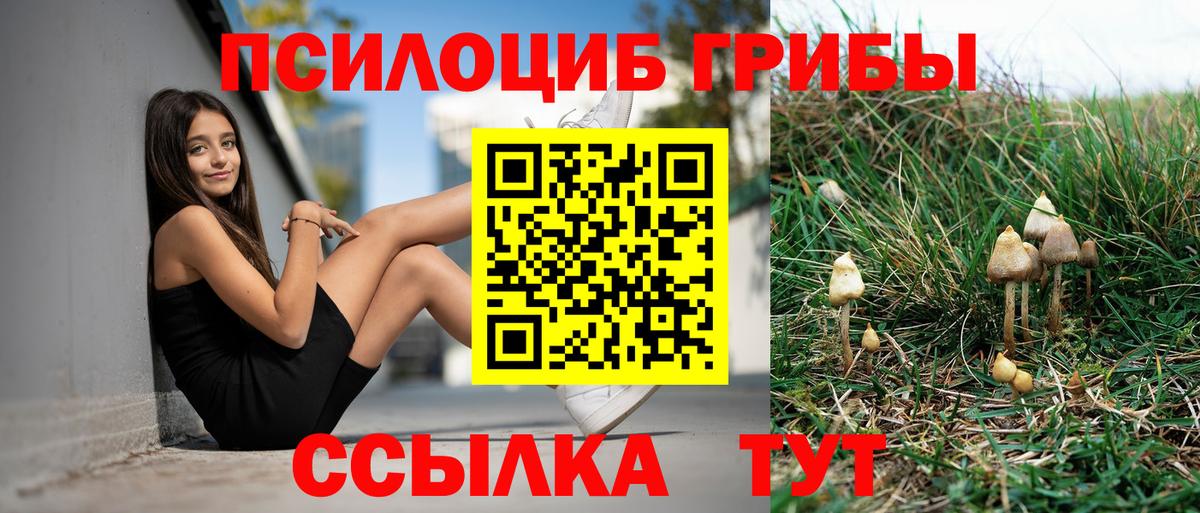 Псилоцибиновые грибы ЛСД  Псилоцибиновые грибы MAGIC MUSHROOMS  Вход с VPN  Выкса 