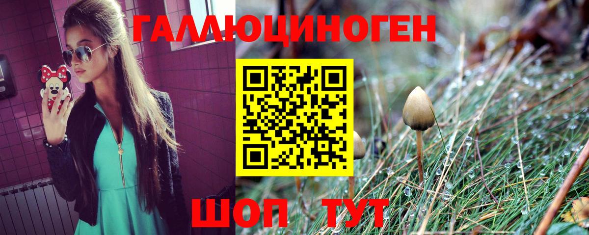 Галлюциногенные грибы Psilocybe Выкса